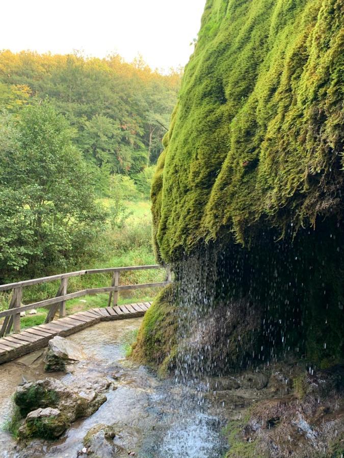 Ferienhaus Backesgarten Fuer 22 Personen Neichen Exteriör bild